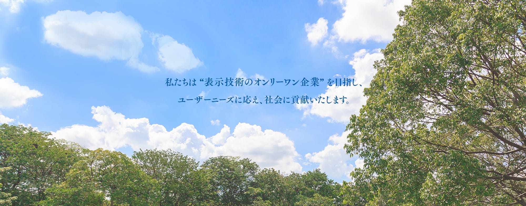 私たちは “表示技術のオンリーワン企業” を目指し、 ユーザーニーズに応え、社会に貢献いたします。